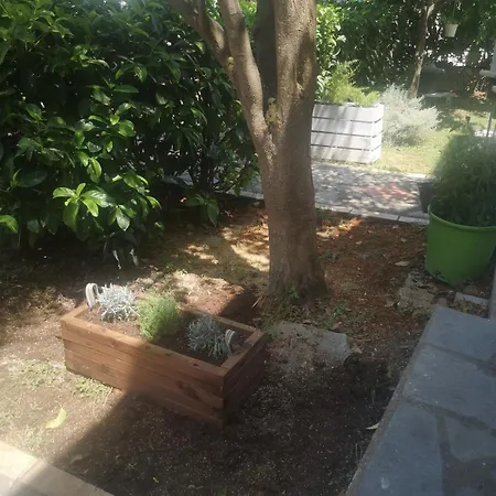 Noka Tatil Evi